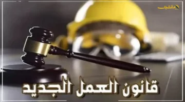 رسميًا.. قانون العمل الجديد يقرّ كشفًا دوريًا إلزاميًا على صحة العامل العقلية والنفسية 1